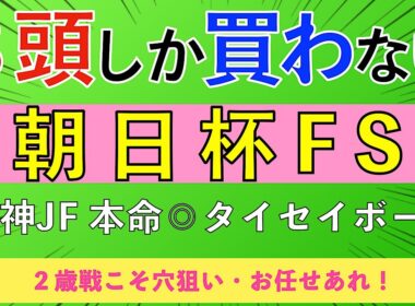 【2025 朝日杯FS】５強人気が圧倒的も・一発狙える穴馬！