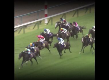 亡き父に最後の1冠 #競馬 #菊花賞#ルメール #ドゥラメンテ