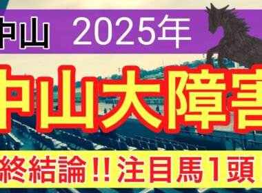 【中山大障害2025】蓮の競馬予想(最終結論)