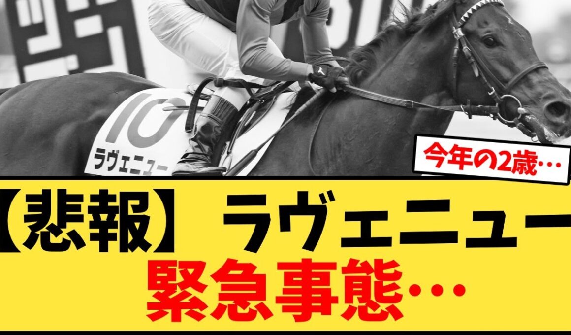 【悲報】ラヴェニュー   緊急事態でホープフルS回避に…【競馬反応集】