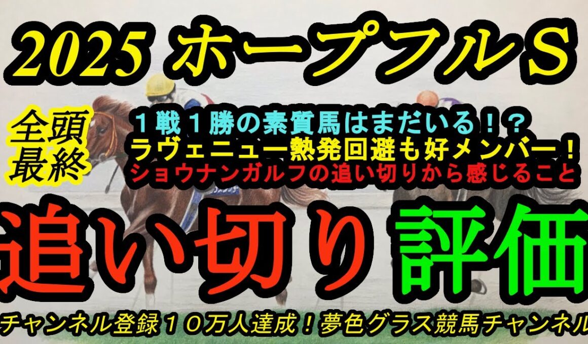 【最終追い切り評価】2025ホープフルステークス！1戦1勝の素質馬はラヴェニューだけじゃない！？ラヴェニュー熱発回避で他に注目なのは？