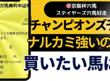 2025年　チャンピオンズカップ予想【本当にナルカミって強いの？】チャンピオンズカップ過去ダントツ1人気凡走あり