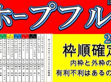 【ホープフルステークス2025】枠順確定！出馬表＆展開予想｜ショウナンガルフvsジーネキング注目｜有力馬・逃げ馬・内外枠徹底分析