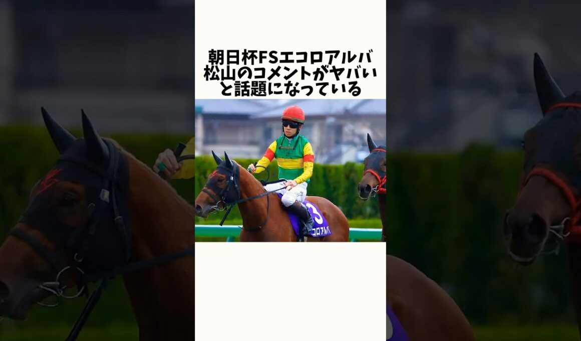 【朝日杯FS】エコロアルバ松山のコメントがヤバいと話題になっている#競馬 #競馬予想 #競馬反応集 #競馬の反応集 #朝日杯フューチュリティステークス