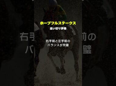 【ホープフルステークス2025最終追い切り評価】まさかの超大穴馬が究極の仕上がり！！！その1頭は…
