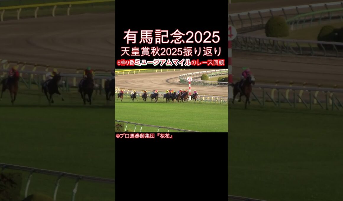 有馬記念2025｜ミュージアムマイルの“意外と見逃されがちな弱点”を天皇賞秋から徹底分析