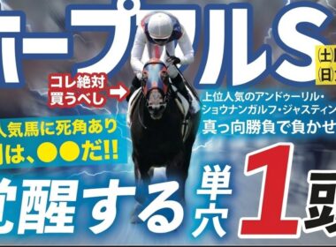 ホープフルステークス 2025 【穴馬/予想】上位人気馬に死角あり！中山で覚醒する単穴１頭とは！？