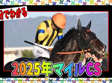 3分でわかる2025マイルCSについてお気持ち表明（ただのレース解説）【biimシステム】