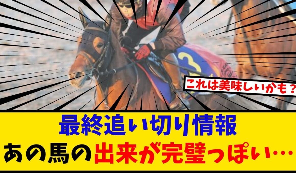 【朝日杯FS】「最終追い切り情報 あの馬の出来が完璧っぽい…」に対するみんなの反応【反応集】