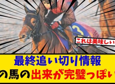 【朝日杯FS】「最終追い切り情報 あの馬の出来が完璧っぽい…」に対するみんなの反応【反応集】