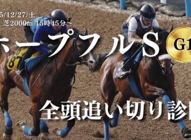 【ホープフルステークス(G1)2025】全頭追い切りを調教診断！アンドゥーリル・ショウナンガルフ・バドリナート・ジャスティンビスタ等。S･A･Bで評価（12月27日土曜日・中山競馬場・芝2000m）