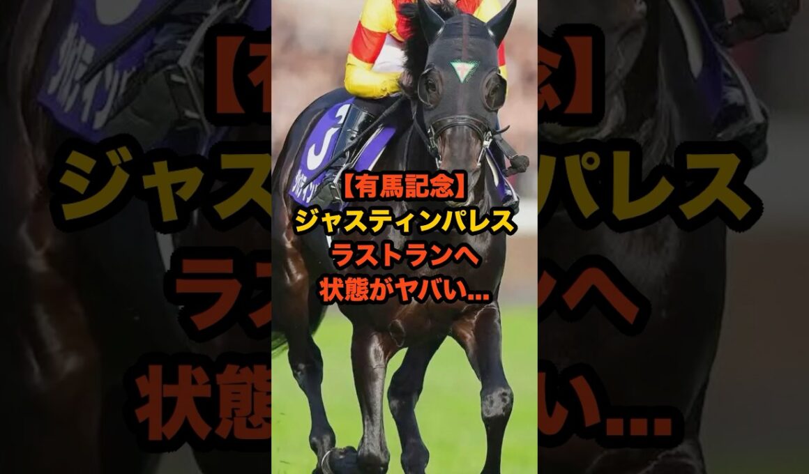 有馬記念で引退…ジャスティンパレス最終追い切りの動きがヤバすぎた#競馬 #有馬記念 #ジャスティンパレス