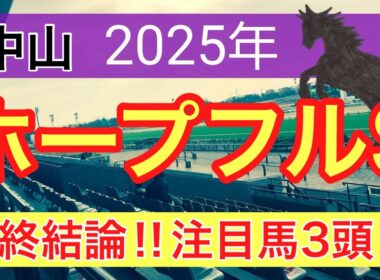 【ホープフルステークス2025】蓮の競馬予想(最終結論)