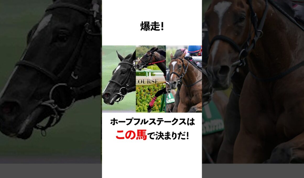 ホープフルステークスはこの馬で決まりだ！