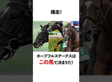 ホープフルステークスはこの馬で決まりだ！