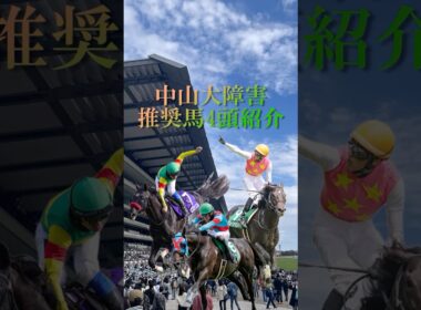 【中山大障害2025 推奨馬を4頭紹介】障害王者の座をかけた一戦!! #shorts #競馬予想 #中山大障害