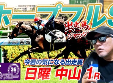 【ホープフルS】出走馬ジャッジ