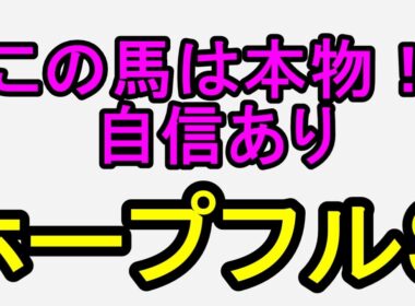 ホープフルステークス2025！あの馬の強さは本物！自信あり【競馬予想】