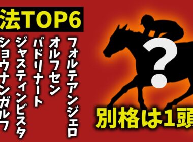 【ホープフルステークス2025】走法TOP6｜1頭だけ“別格”　理由がヤバすぎた【競馬予想】