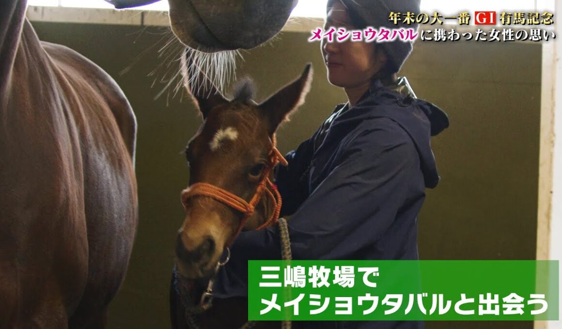 【有馬記念】「タバルへの声援が嬉しかった」メイショウタバルを生んだ母馬と北海道で暮らす女性の思い