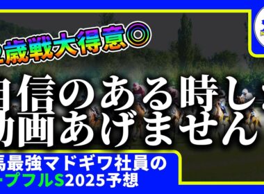 【ホープフルステークス　2025　予想】自信がある時にしか動画をあげない２歳戦大得意窓際、ホープフルステークスの動画を出す！！#ニート　#競馬予想　#馬券のミカタ　#窓際　#マドギワ