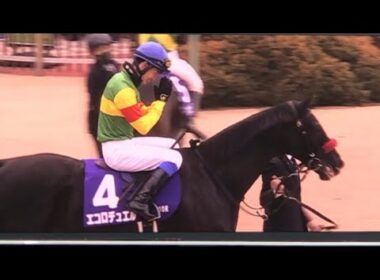 【現地】エコロデュエル 草野太郎 2025 中山大障害