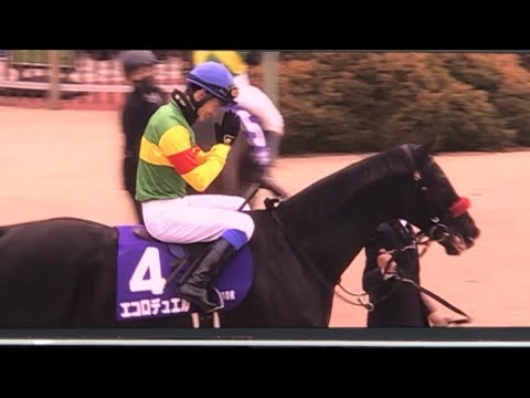 【現地】エコロデュエル 草野太郎 2025 中山大障害