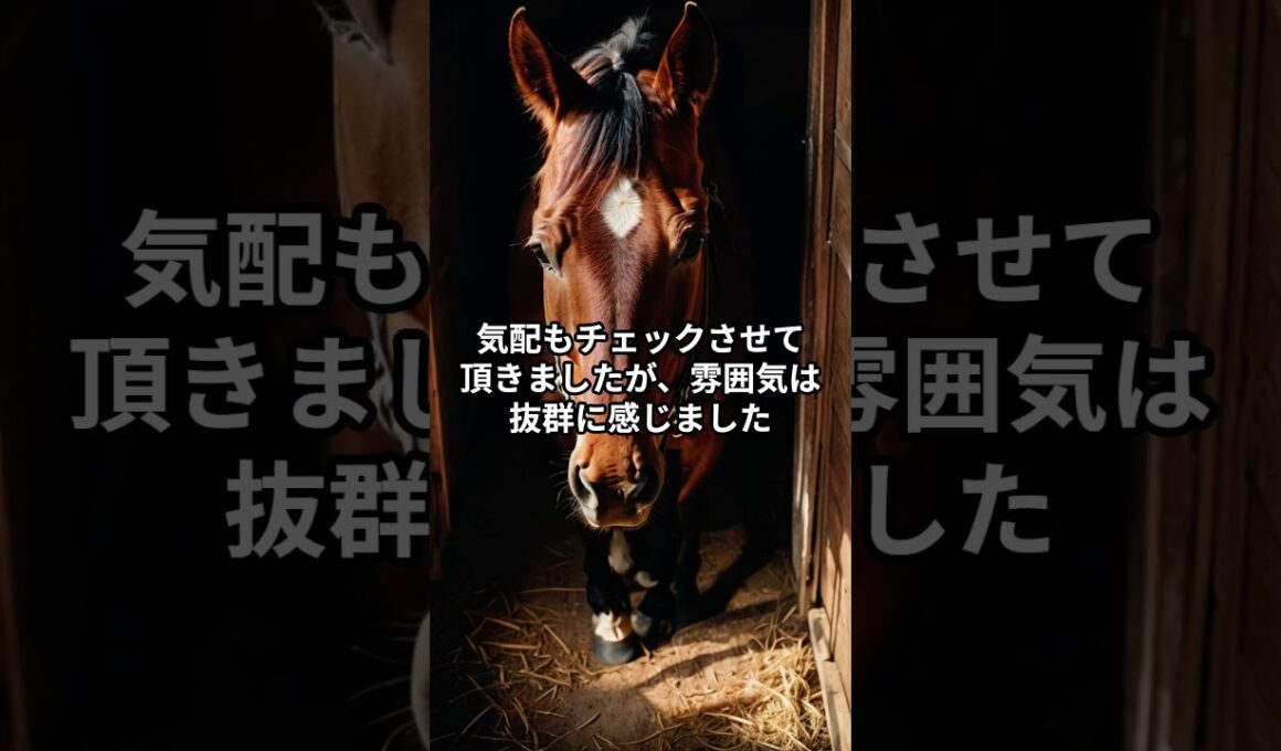 メンバー限定！12月27日の中山大障害の推奨馬