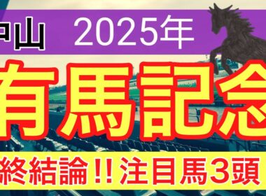 【有馬記念2025】蓮の競馬予想(最終結論)