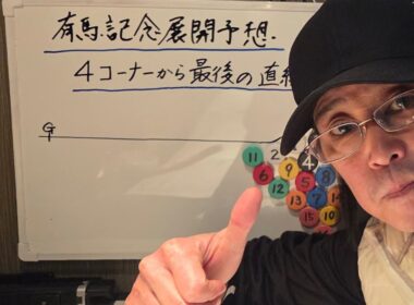 有馬記念 最後の直線の攻防