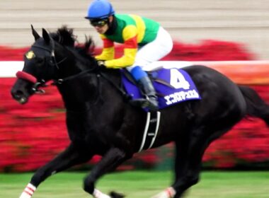 【中山大障害2025】 東京トゥインクルファンファーレによる障害GⅠファンファーレが最高‼ レースもエコロデュエルが春秋ジャンプ王に‼ ウイニングラン 現地映像