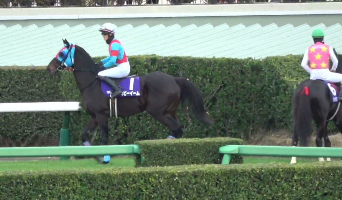 【中山大障害2025】 本馬場入場 現地映像 エコロデュエル
