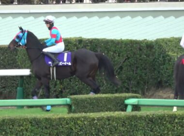 【中山大障害2025】 本馬場入場 現地映像 エコロデュエル