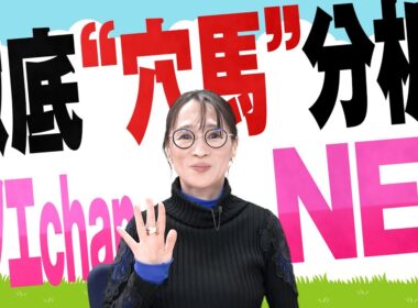徹底“穴馬”分析！ホソエchanNEL 【有馬記念・GⅠ】