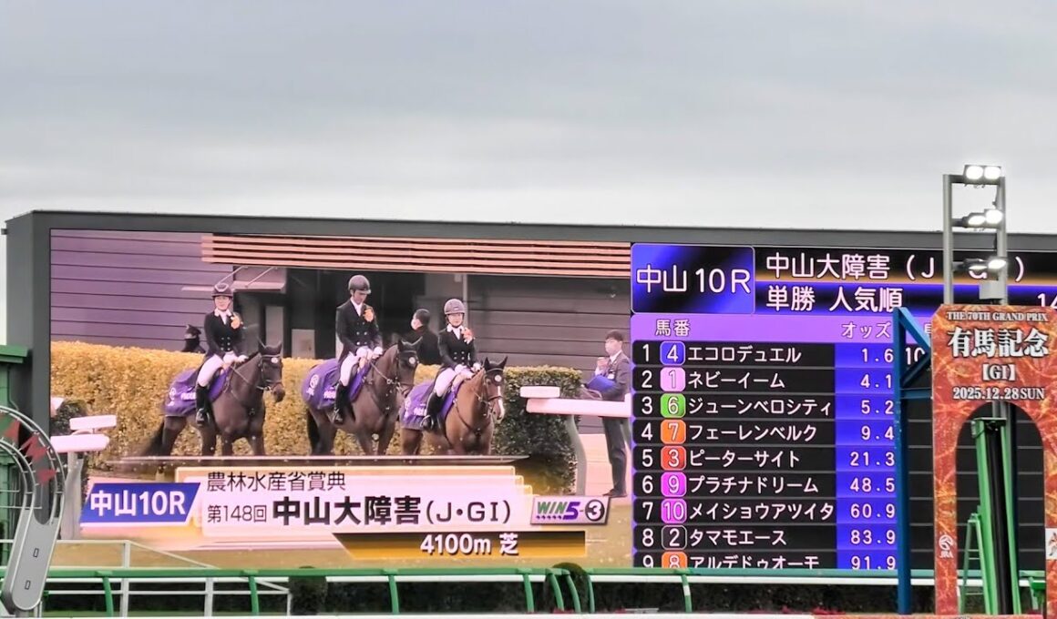 2025年 中山大障害 J・G1 本馬場入場 大関隼アナ実況