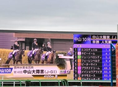2025年 中山大障害 J・G1 本馬場入場 大関隼アナ実況