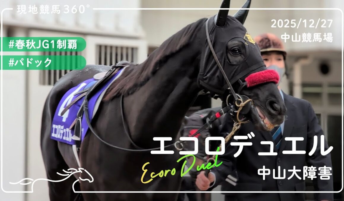 エコロデュエル | 中山大障害 | パドック | 2025/12/27 | 中山競馬場