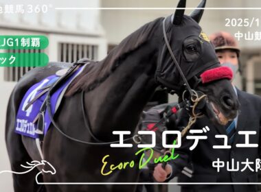 エコロデュエル | 中山大障害 | パドック | 2025/12/27 | 中山競馬場