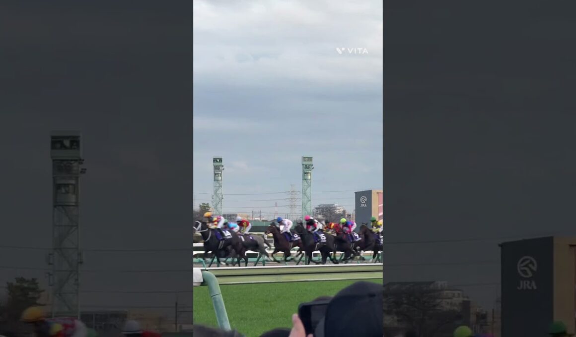 ホープフルステークス#中山競馬場 #GI#競馬 #感動ストーリー #感動 #おすすめ #youtube #shorts