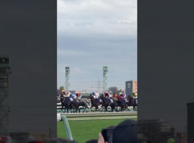 ホープフルステークス#中山競馬場 #GI#競馬 #感動ストーリー #感動 #おすすめ #youtube #shorts