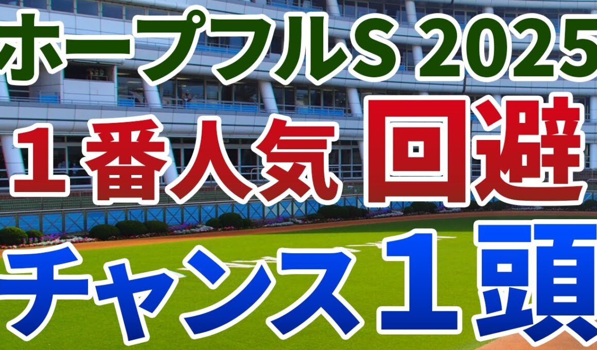 ホープフルステークス2025 追い切り後【買いの1頭】公開！ラヴェニュー回避で伏兵陣にチャンス到来！過去の激走馬と共通する経験をもつ1頭は？