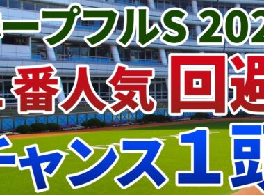 ホープフルステークス2025 追い切り後【買いの1頭】公開！ラヴェニュー回避で伏兵陣にチャンス到来！過去の激走馬と共通する経験をもつ1頭は？