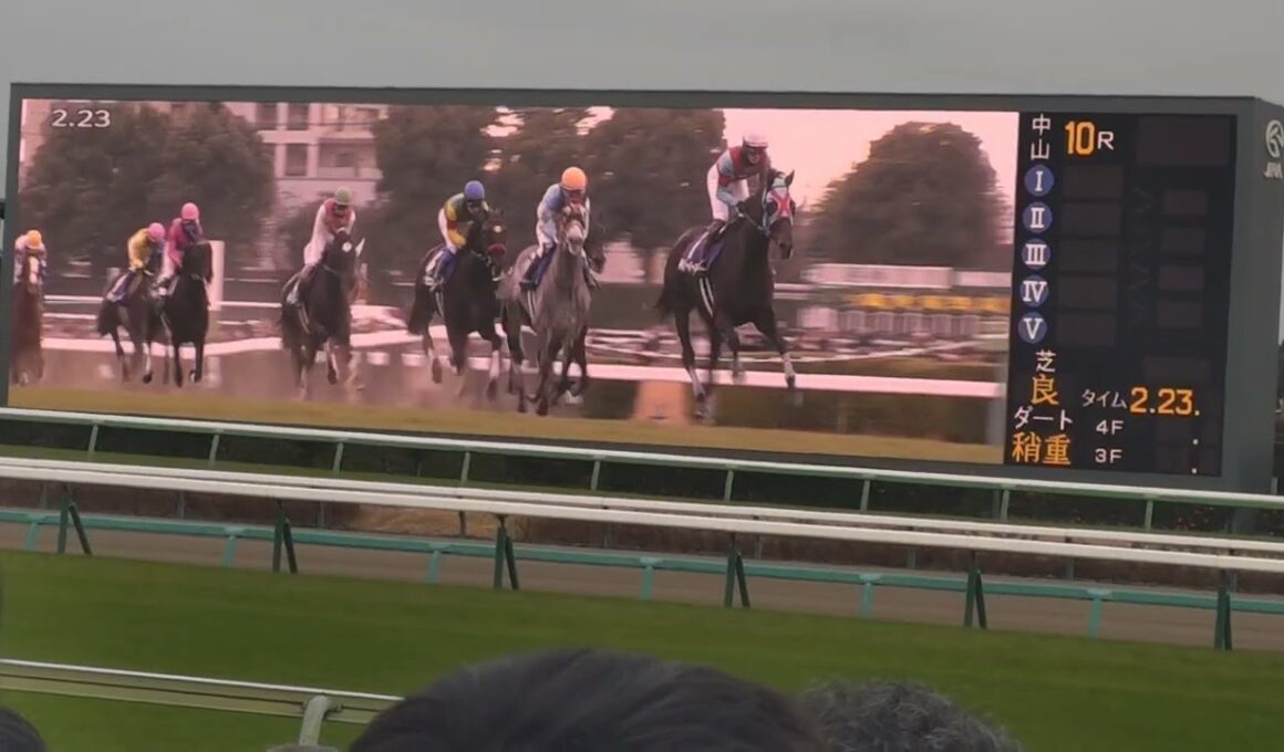 2025中山大障害現地観戦