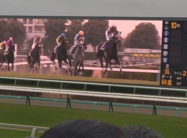 2025中山大障害現地観戦