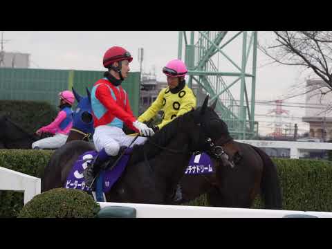 怖くないよ―タイム　中山大障害、レース前の時間