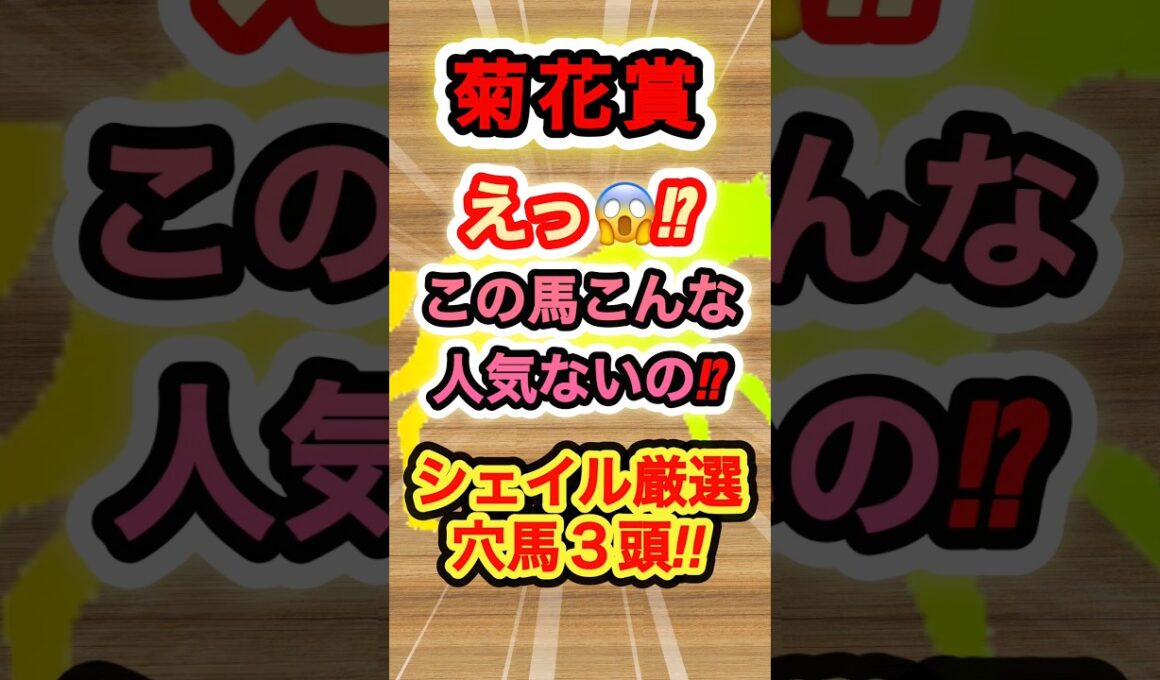 【菊花賞】シェイル厳選穴馬ベスト3！　#競馬  #菊花賞  #競馬予想  #穴馬  #shorts
