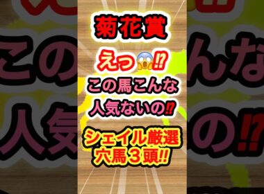 【菊花賞】シェイル厳選穴馬ベスト3！　#競馬  #菊花賞  #競馬予想  #穴馬  #shorts