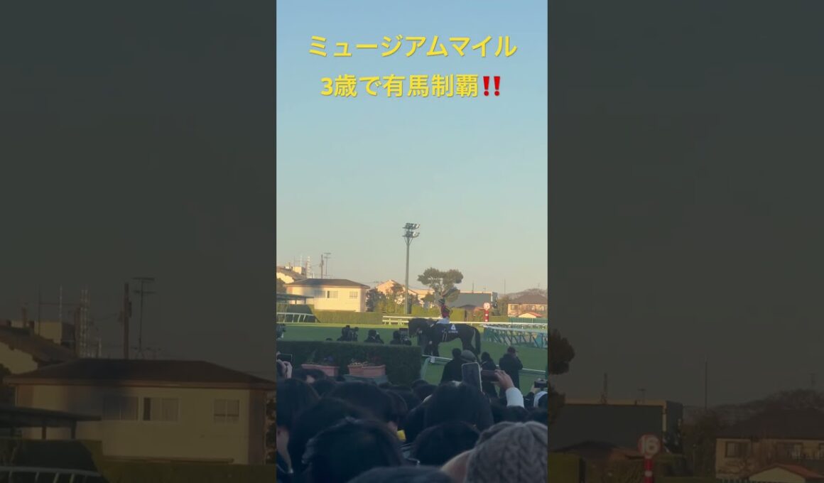 【競馬現地映像】ミュージアムマイル最高の有馬記念制覇‼️皐月賞馬の意地‼️2025.12.28 有馬記念