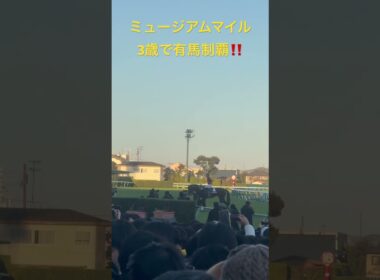 【競馬現地映像】ミュージアムマイル最高の有馬記念制覇‼️皐月賞馬の意地‼️2025.12.28 有馬記念
