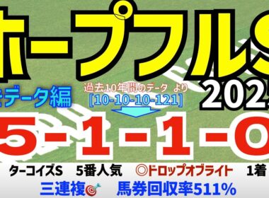 【ホープフルステークス2025】　導きデータ編　過去10年間のデータから導かれた馬とは/今年の馬券回収率は130％　と絶好調/昨年の単勝回収率126%【データ傾向】【競馬予想】